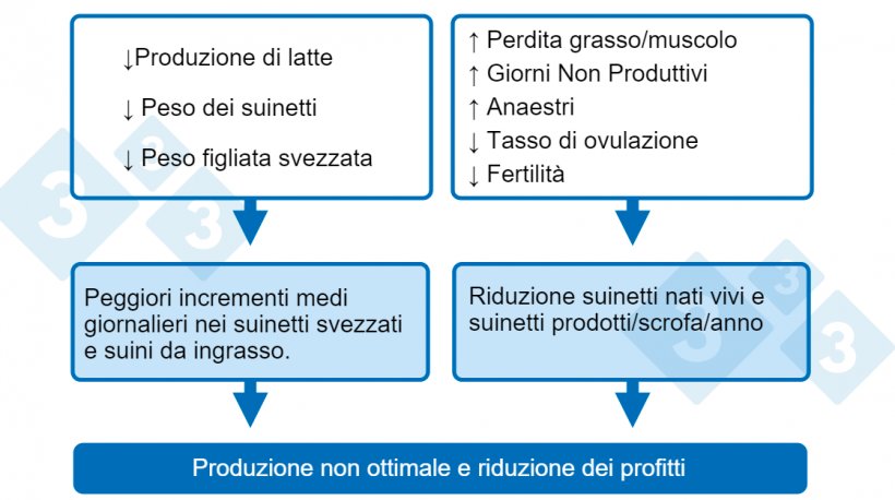 Grafico 1. Conseguenze di un basso apporto di nutrienti durante l&#39;allattamento.
